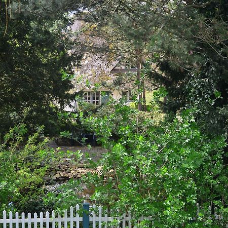 Ferienhof Tom Diek Jork Bagian luar foto